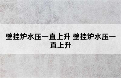 壁挂炉水压一直上升 壁挂炉水压一直上升